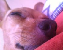 Baby